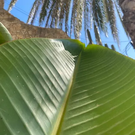 Apartamento Denia's Beach House *