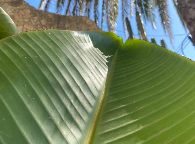 Appartamento Denia's Beach House *